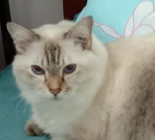 Luna